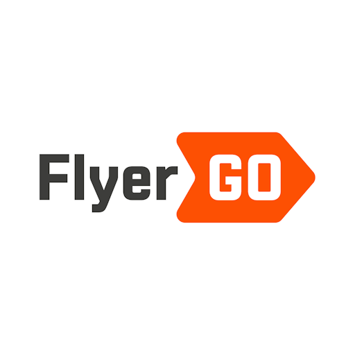 flyergo.ch preview